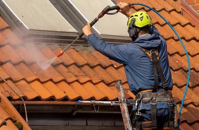 Démoussage et hydrofuge de toiture à Laussou